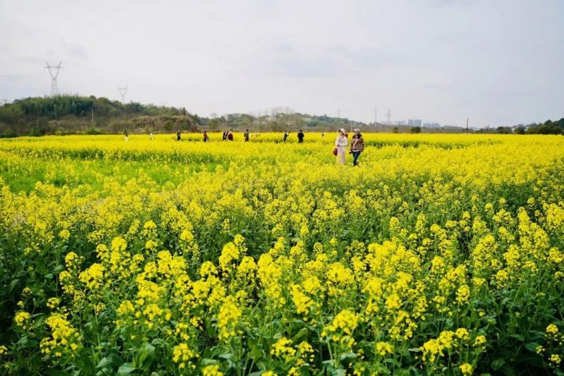 大润发贵宾厅|Home