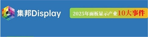 2025年面板行业10大沉量级事务回首