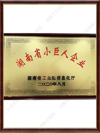 湖南省幼巨人企业